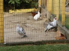 Retiro da Comunidade Educativo-Pastoral do Salesiano