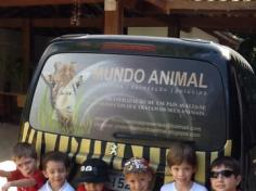 Momentos especiais no Sítio Mundo Animal – Infantil IIB